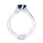 White Gold Blue Sapphire and Diamond Bridal Ring Set with a 3/5ct Gem and 2/5ct TDW Sparkles