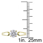 Golden Yaffie Diamond Solitaire Ring with 3/4ct TDW from the Signature Collection.
