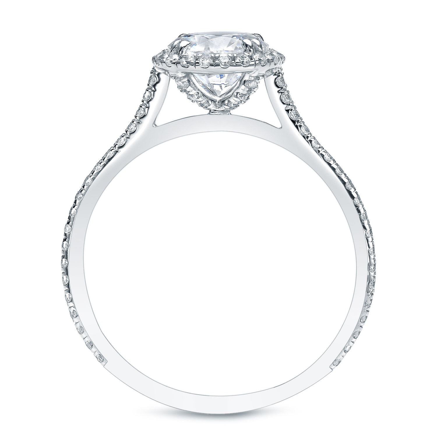 Sparkling Yaffie Platinum Engagement Ring with 1.5ct TDW Round-Cut Diamond Halo